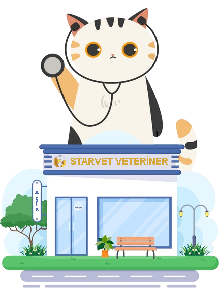 Starvet Veteriner Kliniği