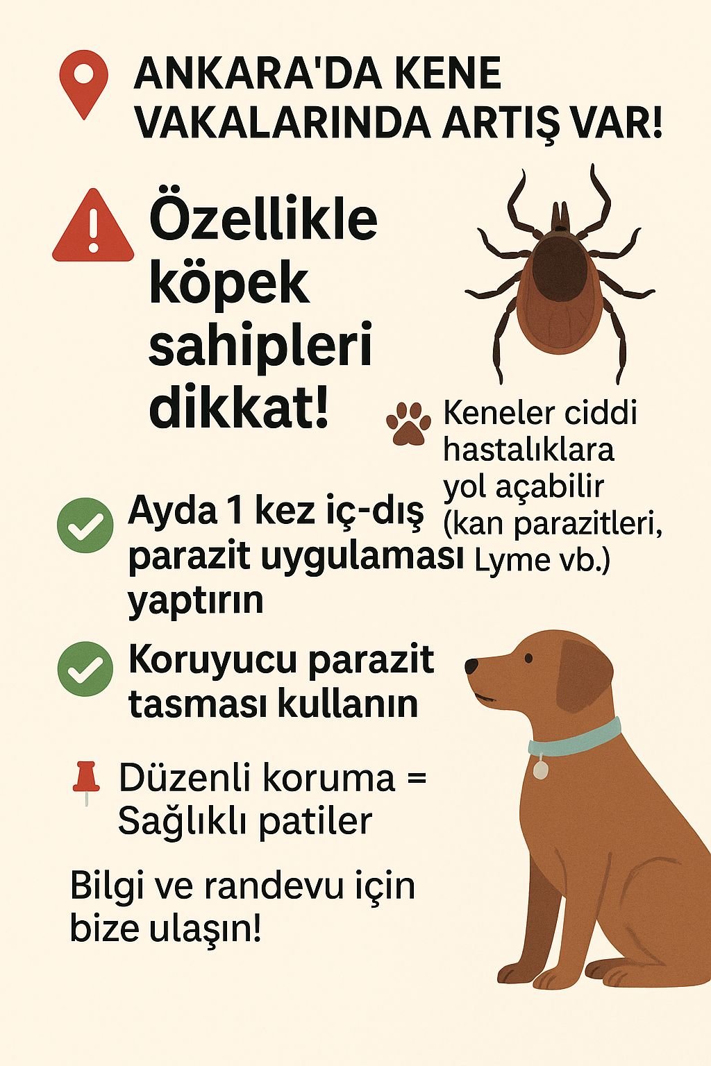blog-image
