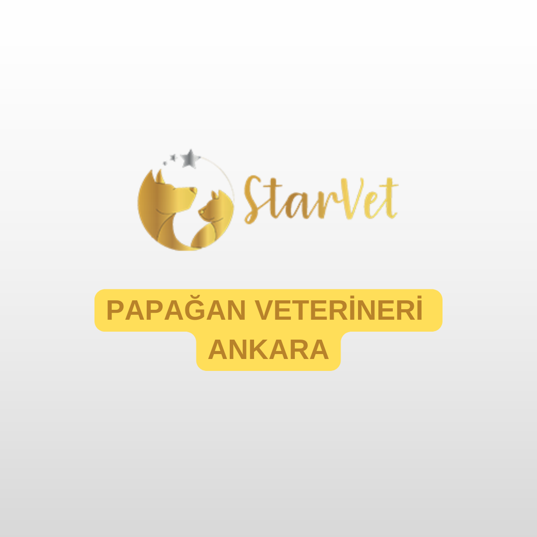 blog-image
