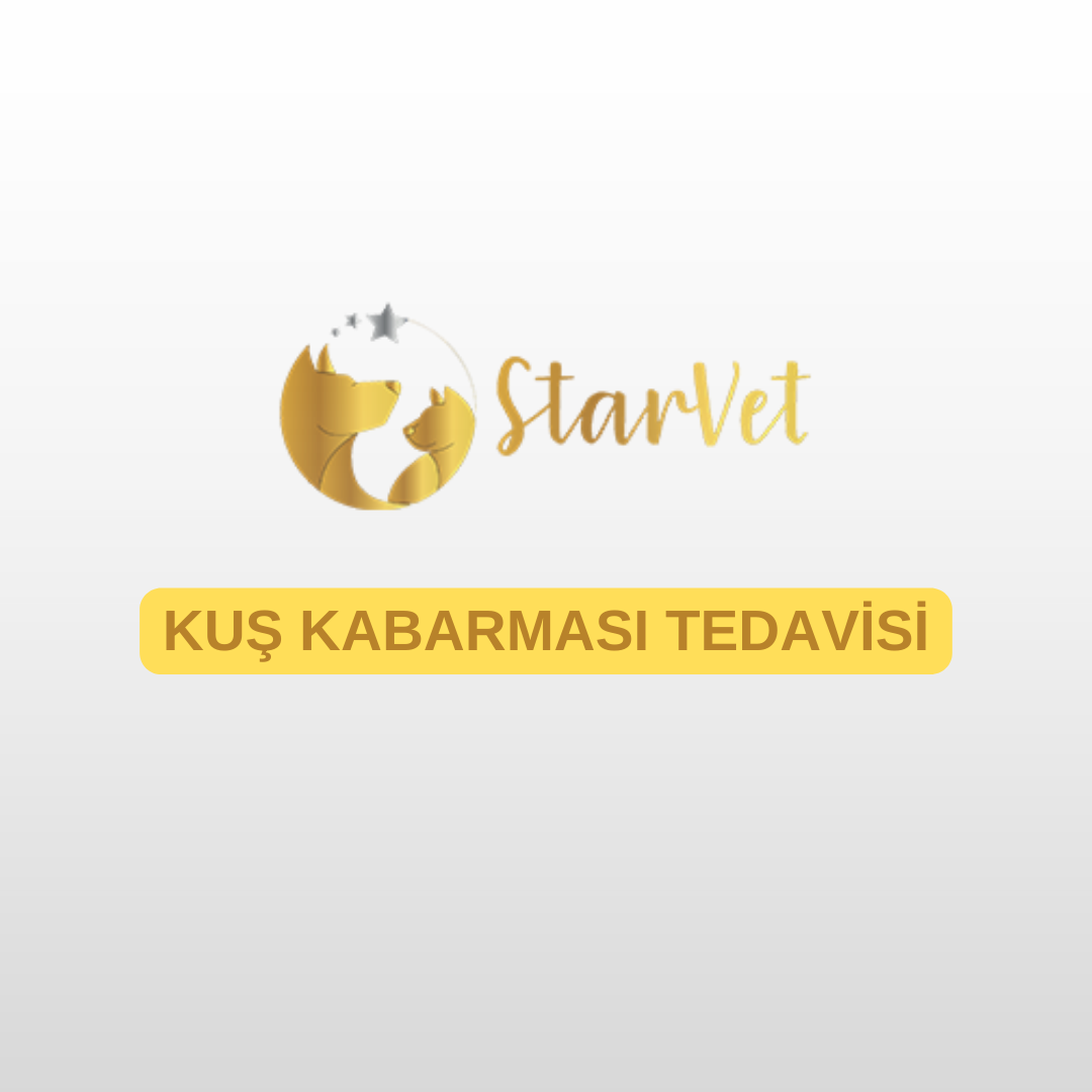 blog-image