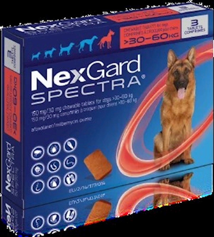  NexGard Spectra: 30-60 kg Ağırlığındaki Köpekler İçin Kapsamlı Parazit Koruması