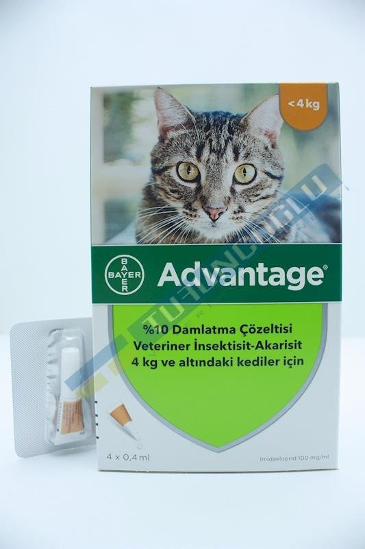  Advantage® Kedi: 4 kg ve Altındaki Kediler İçin Etkili Pire Koruması