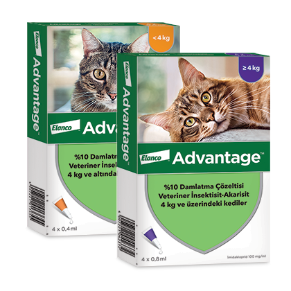  Advantage® Kedi: 4 kg ve Üzerindeki Kediler İçin Etkili Pire Koruması