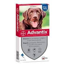 Advantix®: 25-40 kg Ağırlığındaki Köpekler İçin Etkili Dış Parazit Koruması