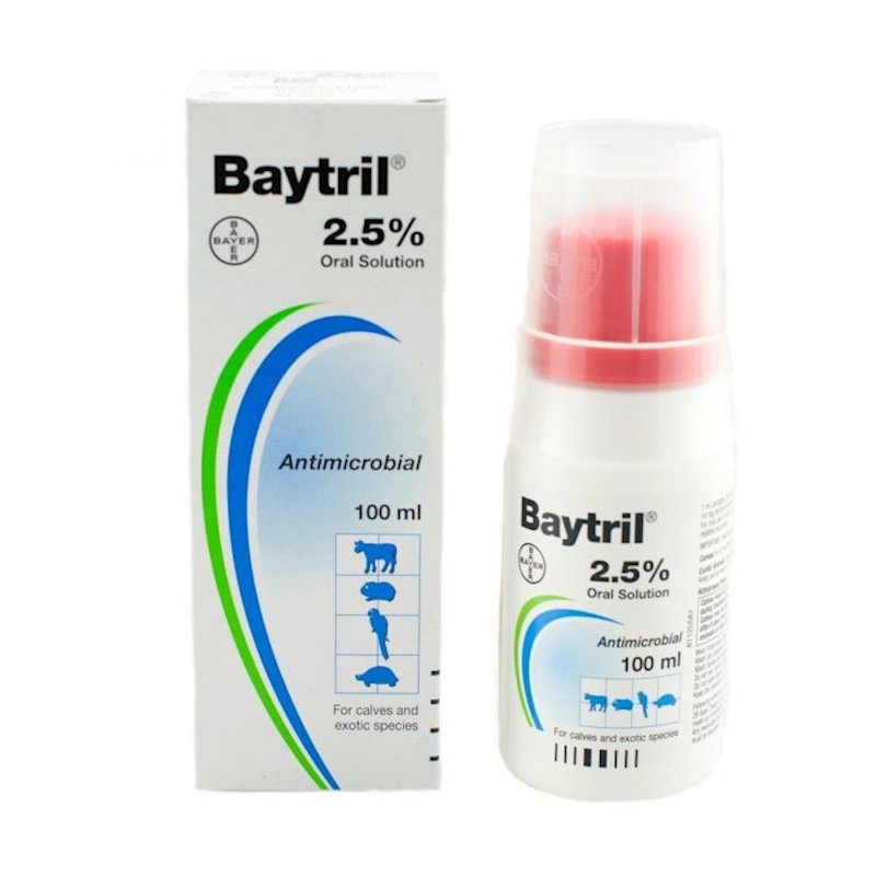  Baytril® 25 mg/ml Enjeksiyon Çözeltisi