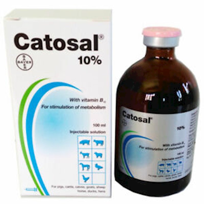  Catosal %10 Enjeksiyonluk Çözelti