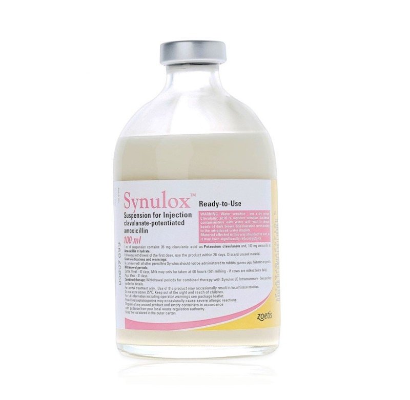  Synulox RTU 100 ml