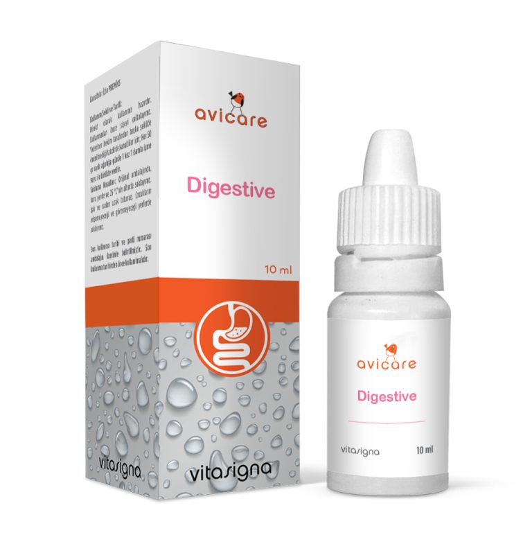 Digestive