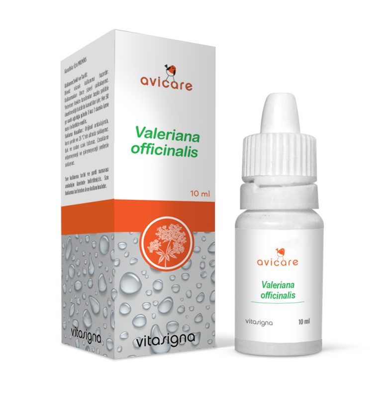 Valeriana officinalis