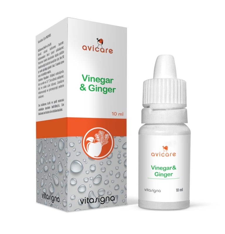 Vinegar & Ginger