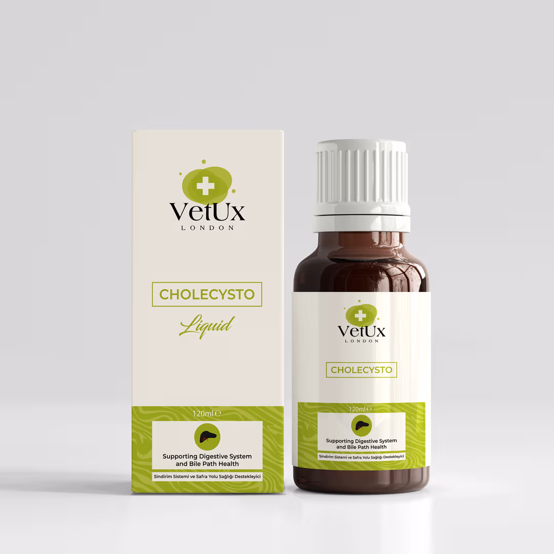 Cholecysto