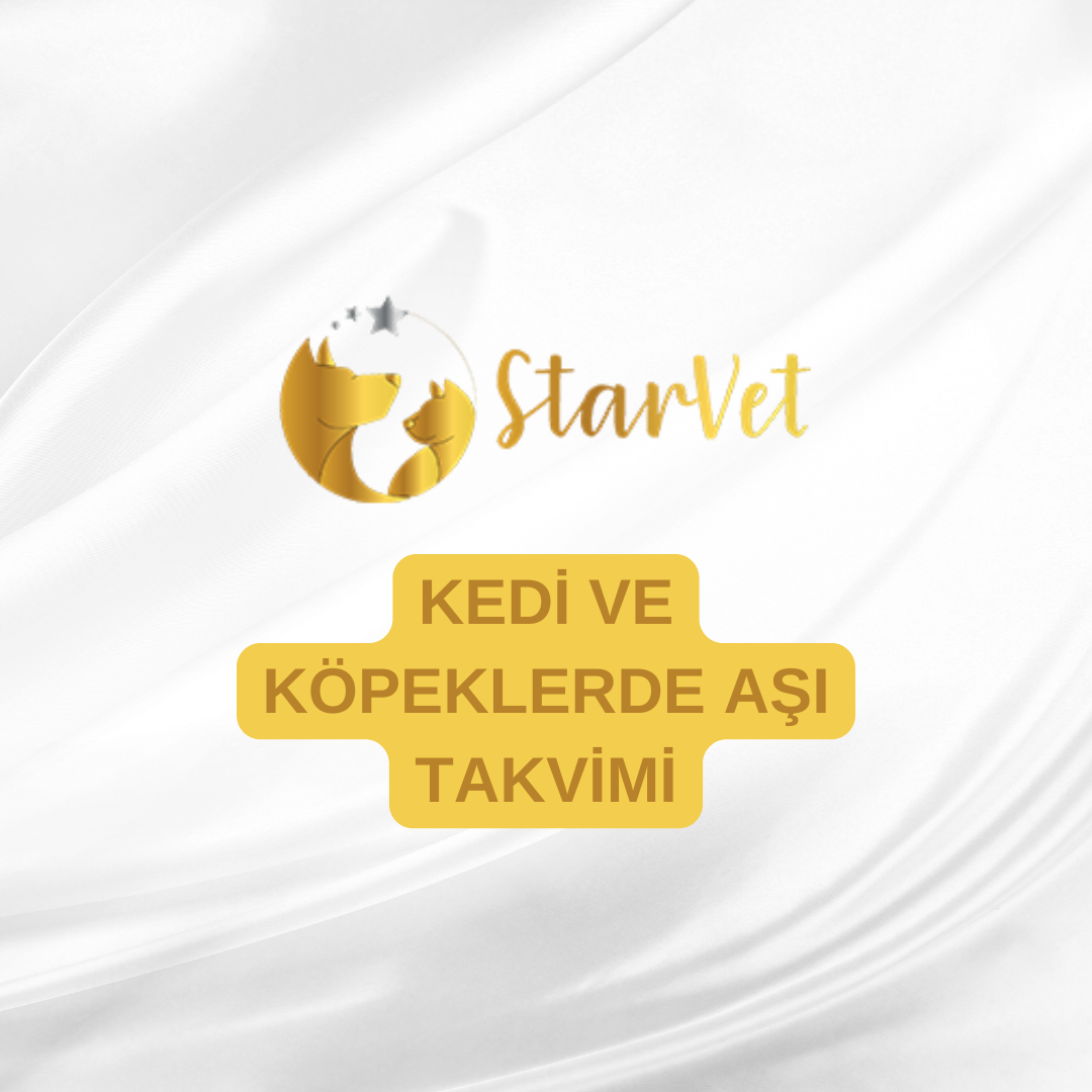  Kedi ve Köpeklerde Aşı Takvimi