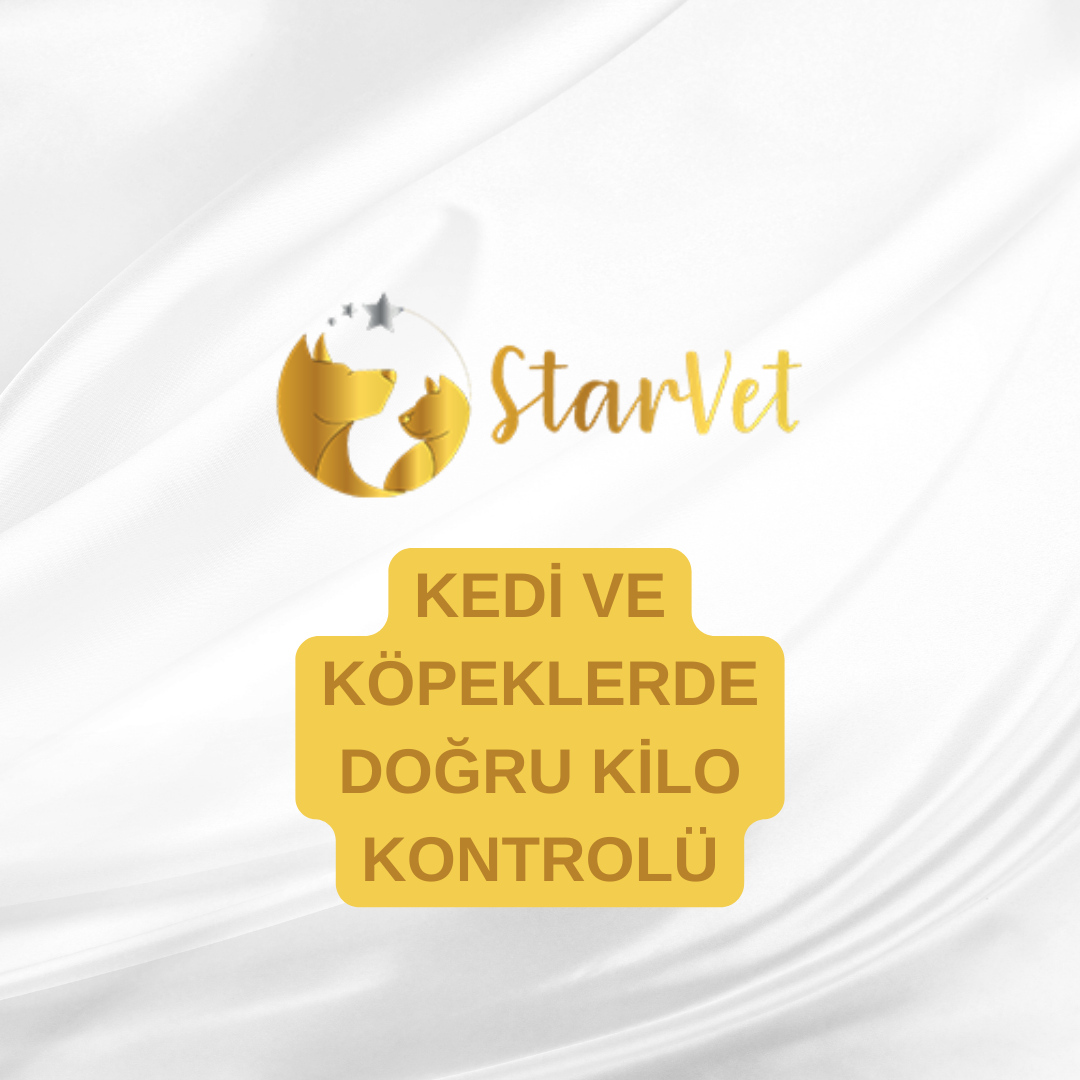  Kedi ve Köpeklerde Doğru Kilo Kontrolü