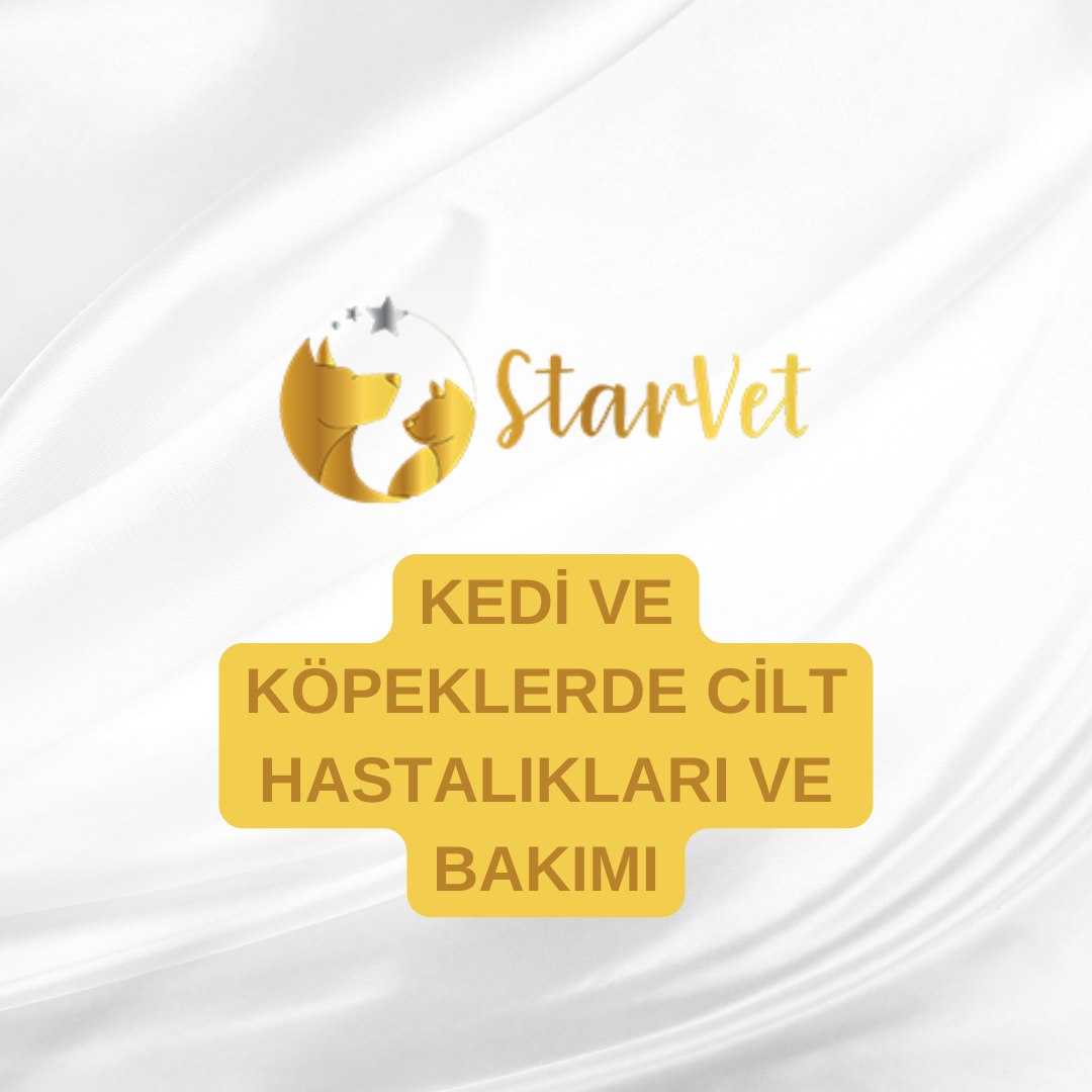 Kedi ve Köpeklerde Cilt Hastalıkları ve Bakımı