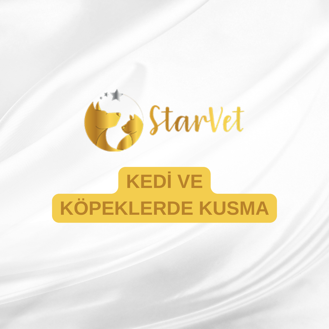  Kedi ve Köpeklerde Kusma