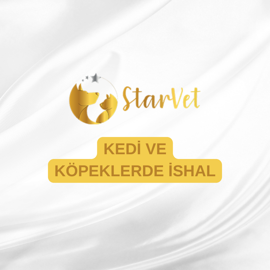  Kedi ve Köpeklerde İshal