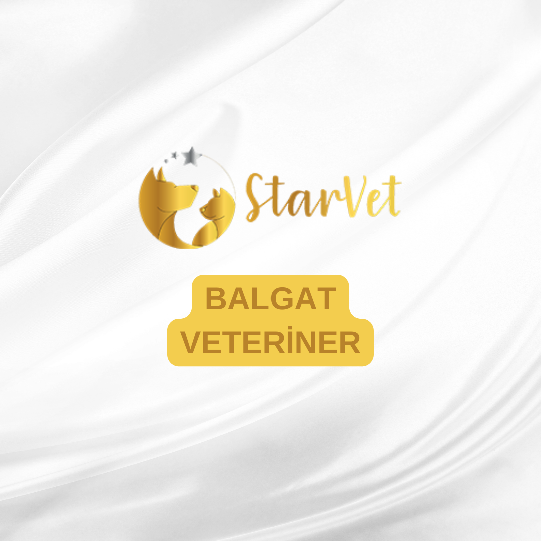 Ankara Balgat Veteriner