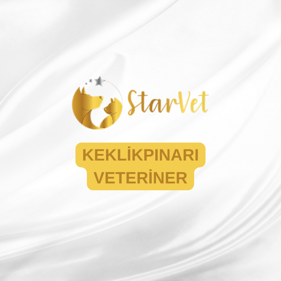  Ankara Keklikpınarı Veteriner Kliniği