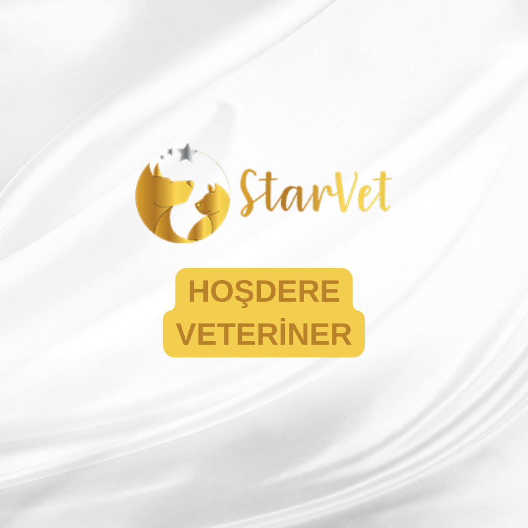  Ankara Hoşdere Veteriner