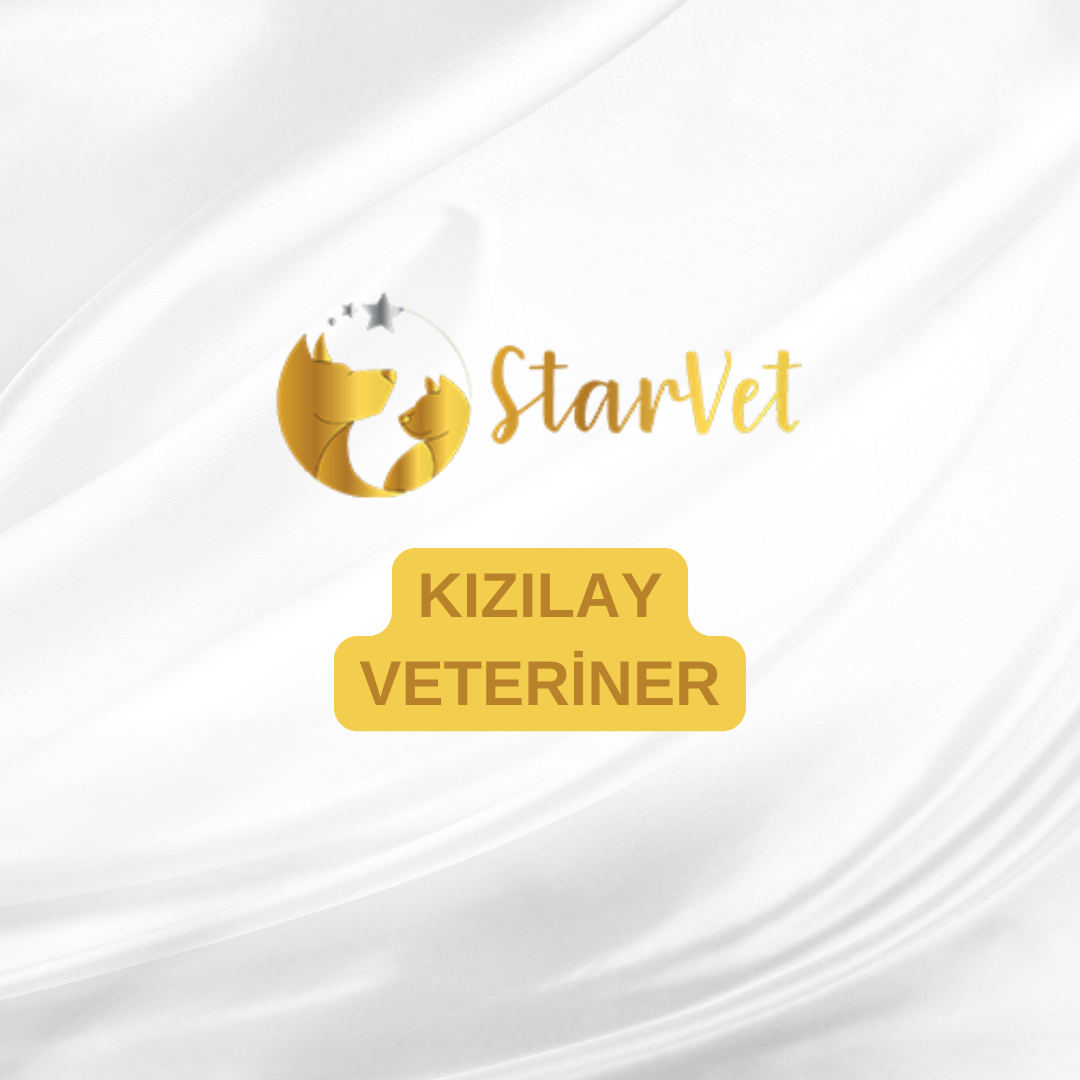  Ankara Kızılay Veteriner