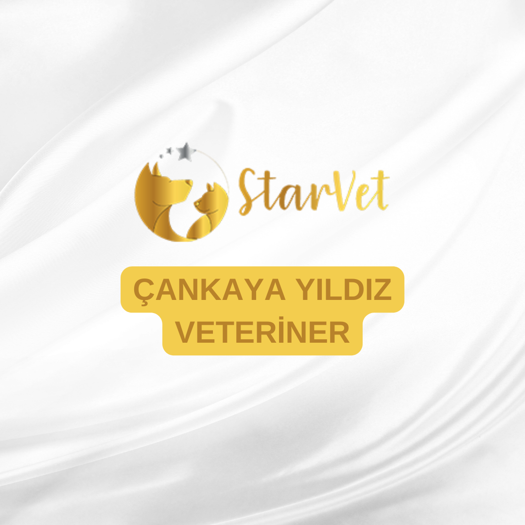  Ankara Çankaya Yıldız Veteriner