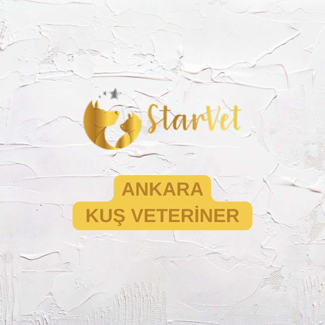  Ankara Kuş veteriner