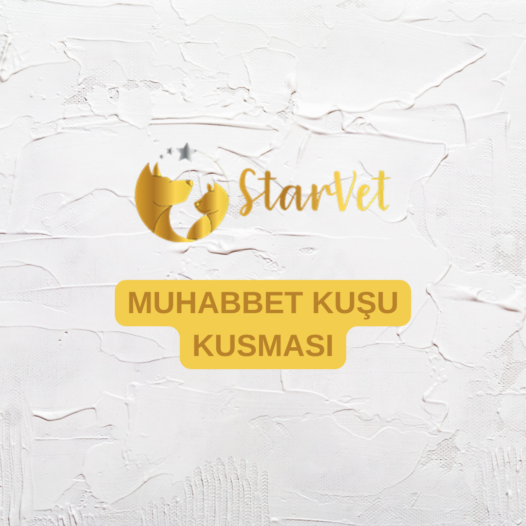  Muhabbet Kuşu Kusması