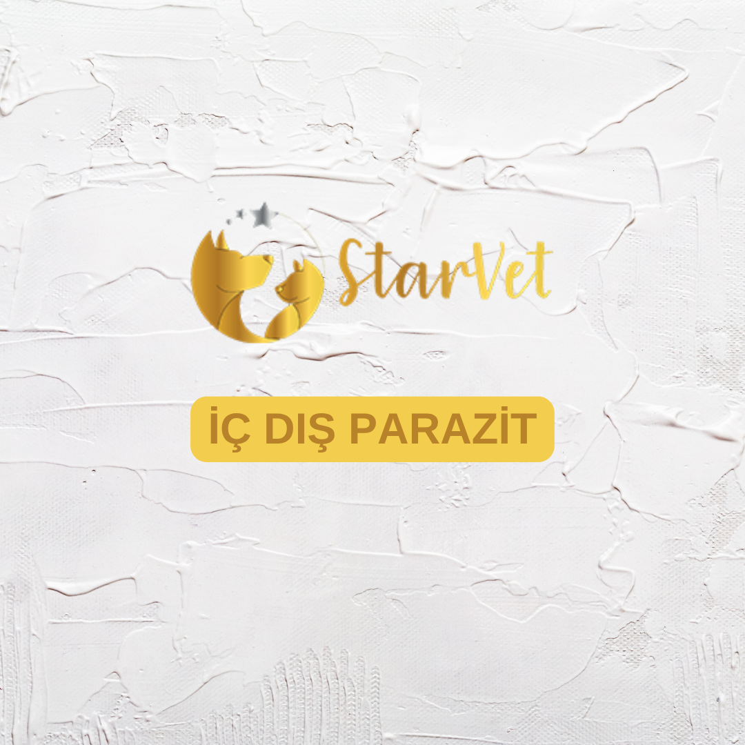  Ankara İç ve Dış Parazit Uygulamaları
