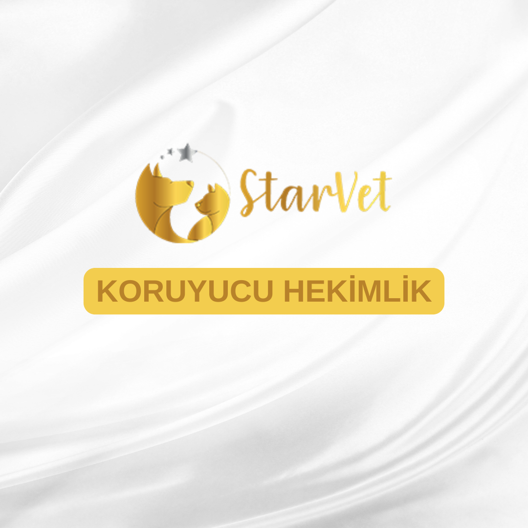  Koruyucu Hekimlik