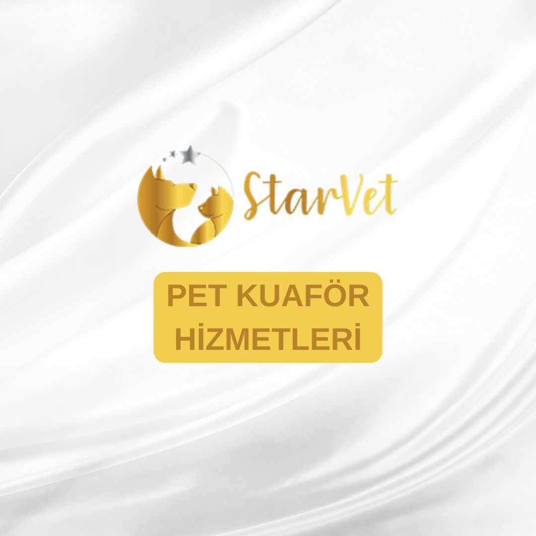  Pet Kuaför Hizmetleri
