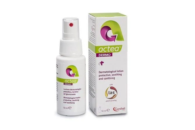  CANDİOLİ ACTEA DERMO