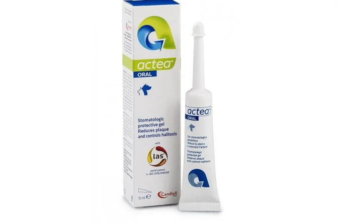 CANDİOLİ ACTEA ORAL