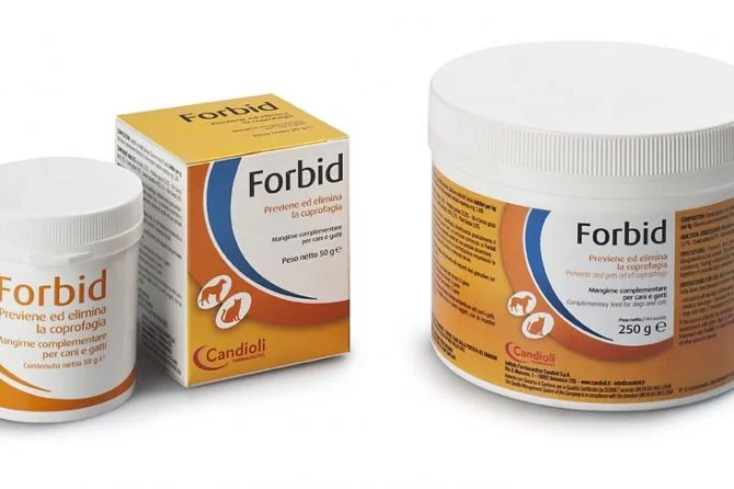 CANDİOLİ FORBİD