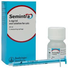 Semintra 4 mg/ml Oral Çözeltisi