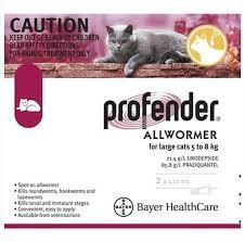 Profender Spot-On 5–8 kg