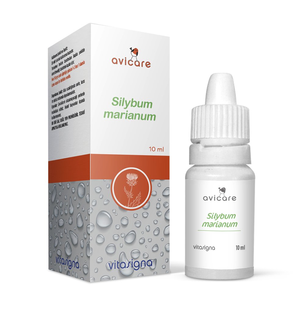  Avicare Silybum Marianum