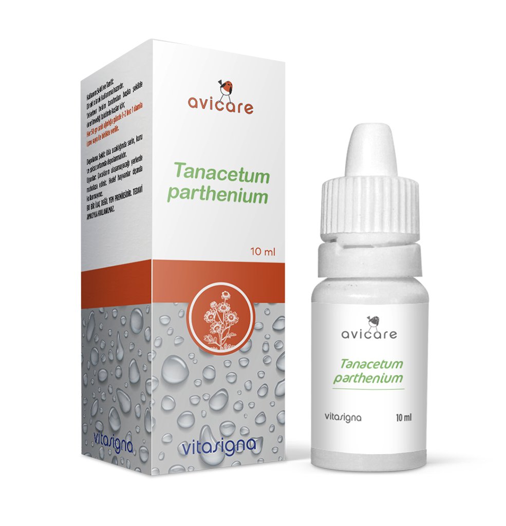  Avicare Tanacetum Parthenium