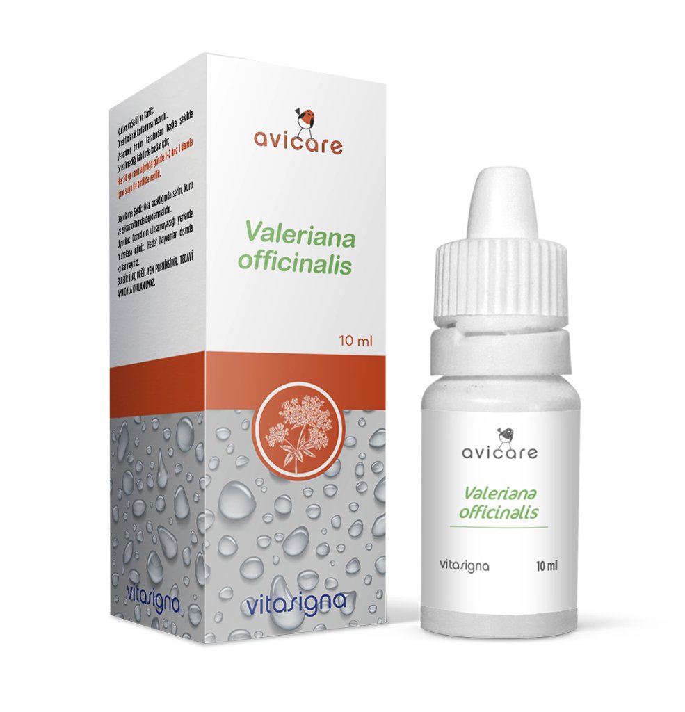  Avicare Valeriana Officinalis