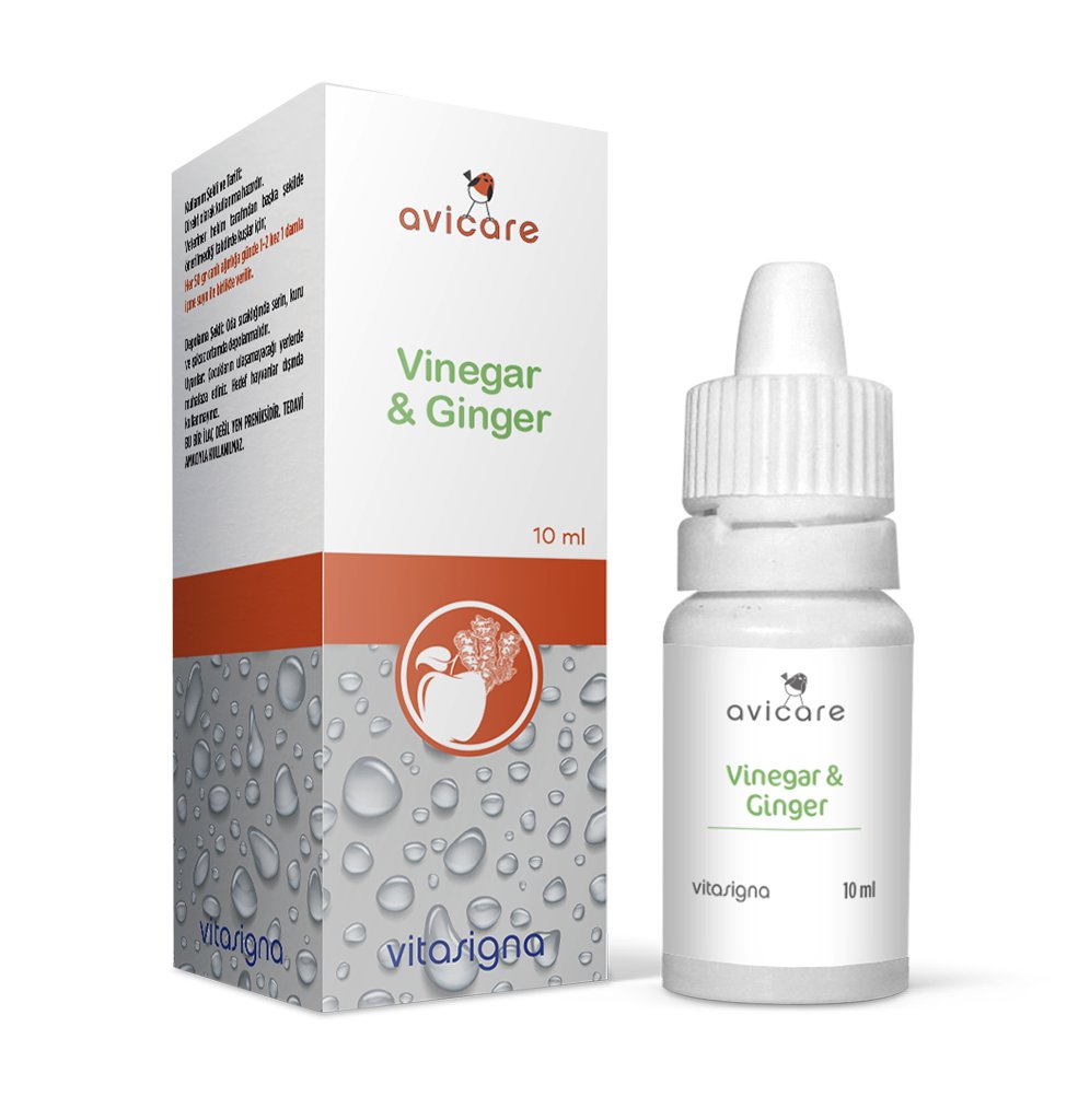  Avicare Vinegar & Ginger